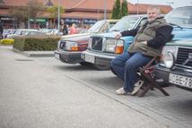 16780490_56a4254cb0256075c54d6534882b4525_y.jpg