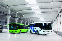 Credo autóbuszok - Mosonmagyaróvár