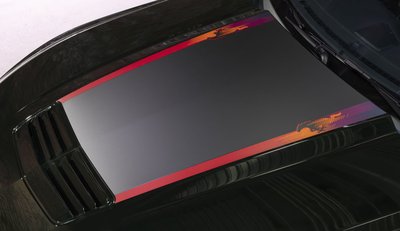 The Art and Speed style that Troy Lee pioneered is coming to the Ford Mustang EcoBoost with the new TLD Signature Edition package.