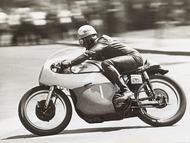 Kurucz Norton