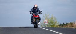 41434029_9e61e01ab08cb70fea7c41a0a727ca9b_wm.jpg