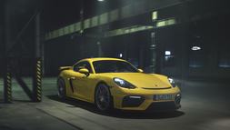 P19 0550 a3 rgb