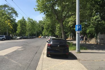 Tudta, csak nem sejtette...