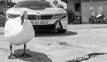 6419796_44584_8163edae74c65b78e5d14f3a576e1f4b_wm.jpg