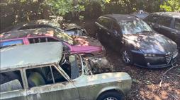 alfa-romeo-abbandonate